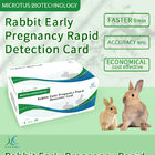 Carte de détection rapide de la grossesse précoce chez le lapin fournisseur