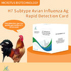 Carte de test rapide pour l'antigène du sous-type de l'influenza aviaire (H7) fournisseur
