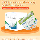 Carte de test rapide pour l'antigène du sous-type de l'influenza aviaire (H9) fournisseur