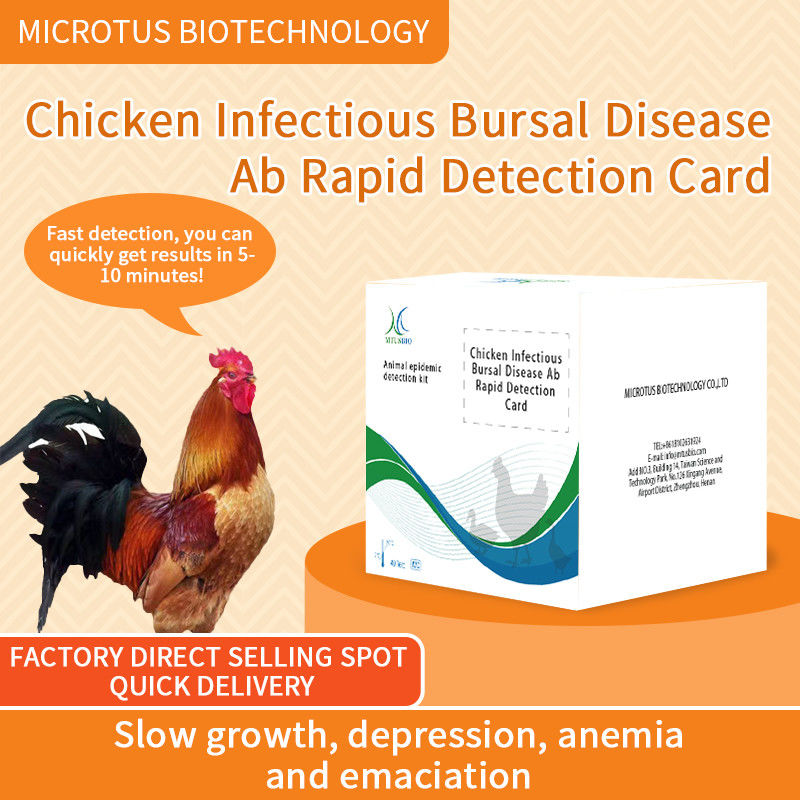 Carte de détection rapide de la maladie infectieuse du poulet fournisseur