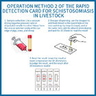 Carte de détection rapide des anticorps contre le schistosome chez les animaux domestiques fournisseur