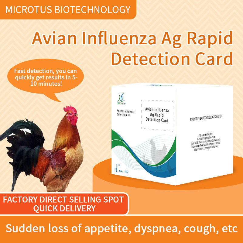 Carte de test rapide des anticorps contre le virus de la grippe aviaire fournisseur